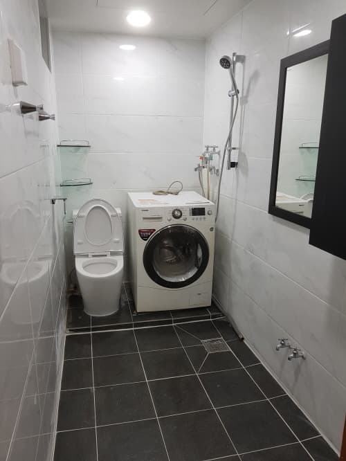 Model : 아이리스